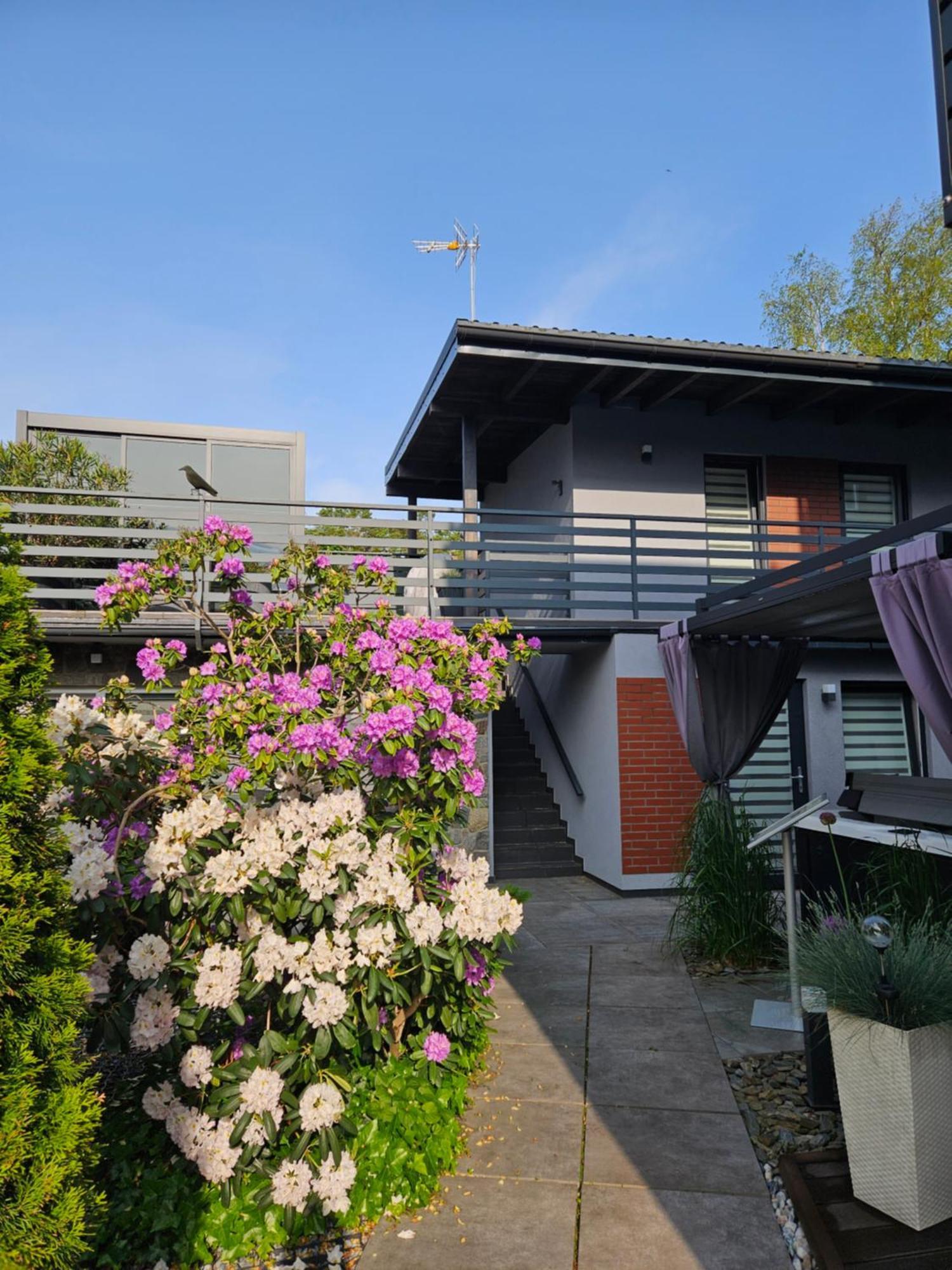 Apartment Azalia